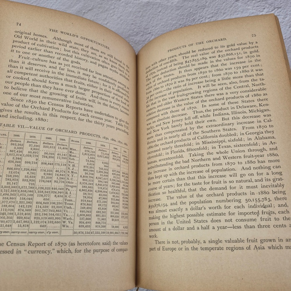 The Worlds Opportunities and How to Use Them Alfred Hudson Guernsey Antique Book - Picture 15 of 16